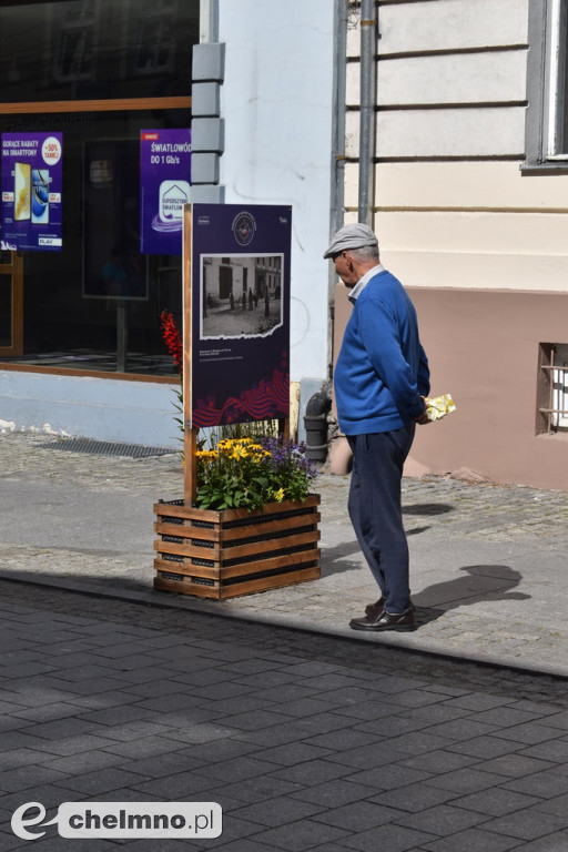 Czy widzieliście już wystawę na ul. Grudziądzkiej?