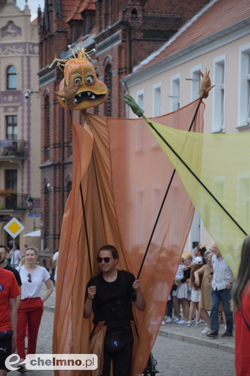 Wspaniała parada fantazji przemaszerowała ulicami Chełmna