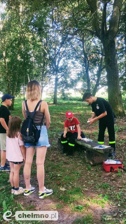 Sympatyczny piknik Bezpieczna Oaza