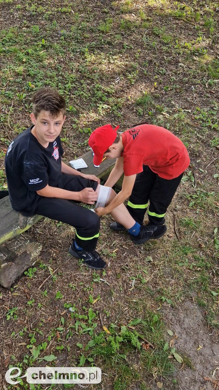 Sympatyczny piknik Bezpieczna Oaza