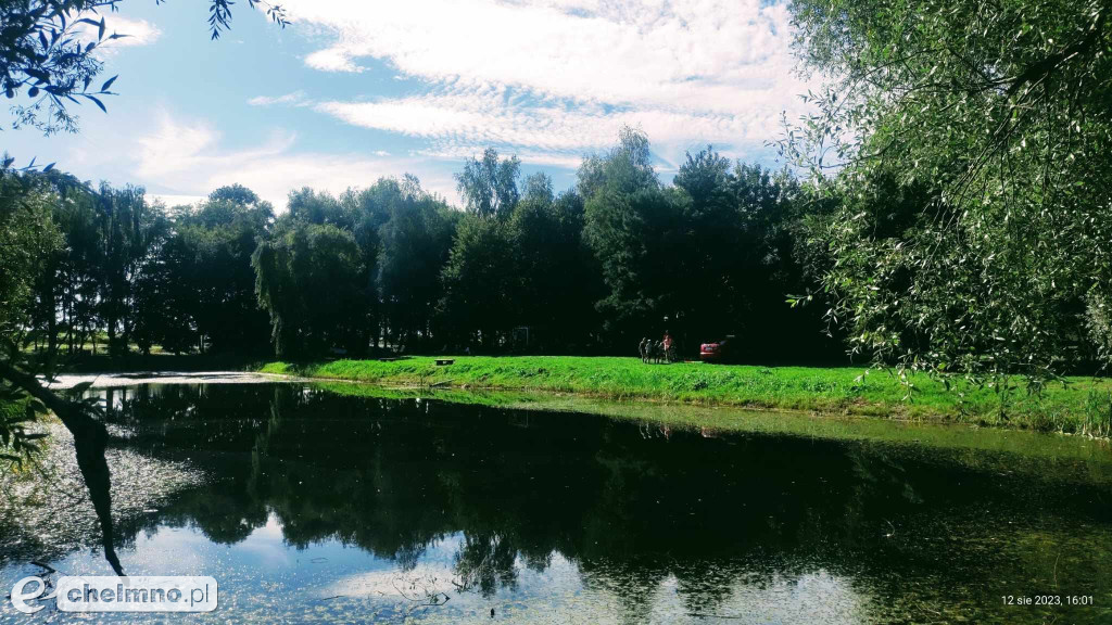 Sympatyczny piknik Bezpieczna Oaza