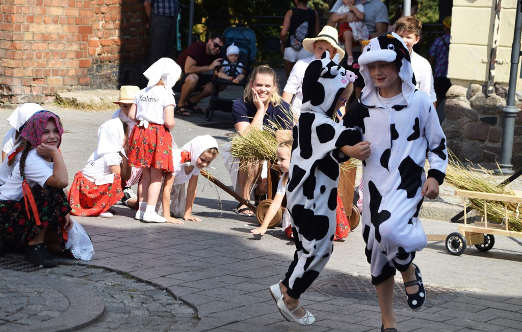 Radosne występy zespołów na Festiwalu Folkloru 