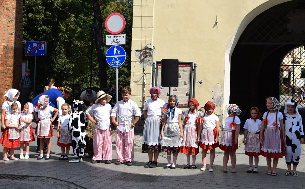 Radosne występy zespołów na Festiwalu Folkloru 