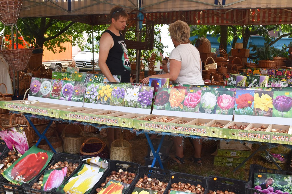 Festiwal Smaku w Grucznie - ależ tam smacznie i kolorowo