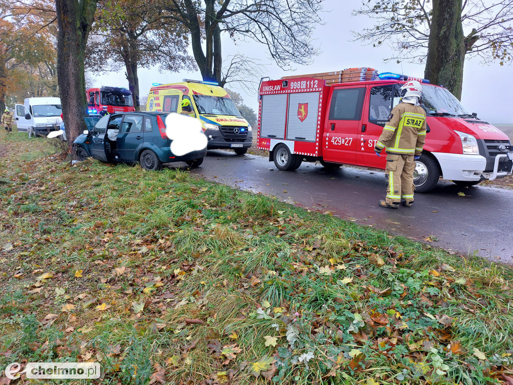 Wypadek w Bągarcie: zjechała z drogi i uderzyła w drzewo