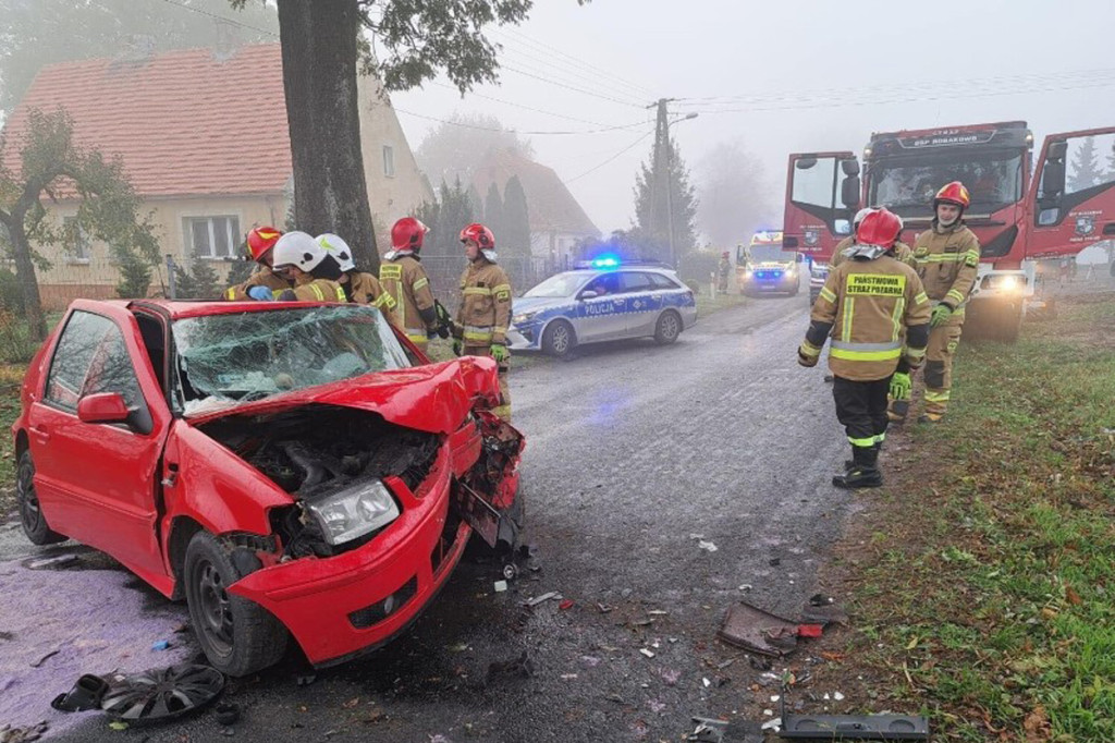 Dwie kobiety poszkodowane w wypadku w okolicach Chełmna