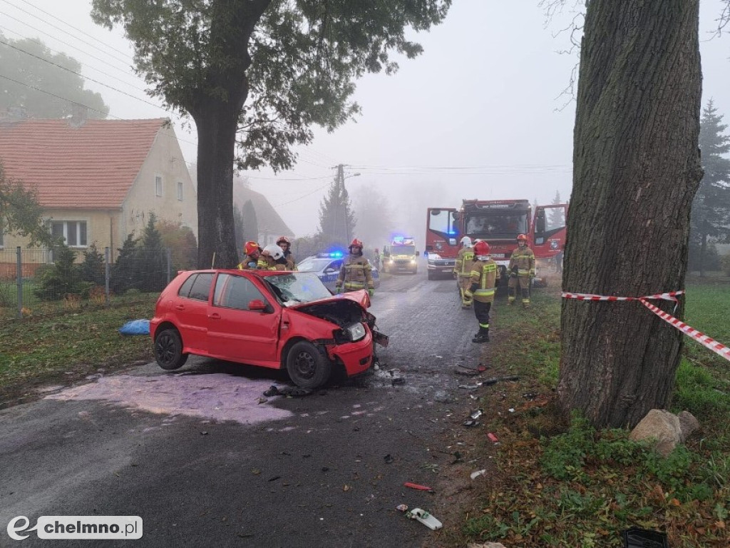 Dwie kobiety poszkodowane w wypadku w okolicach Chełmna