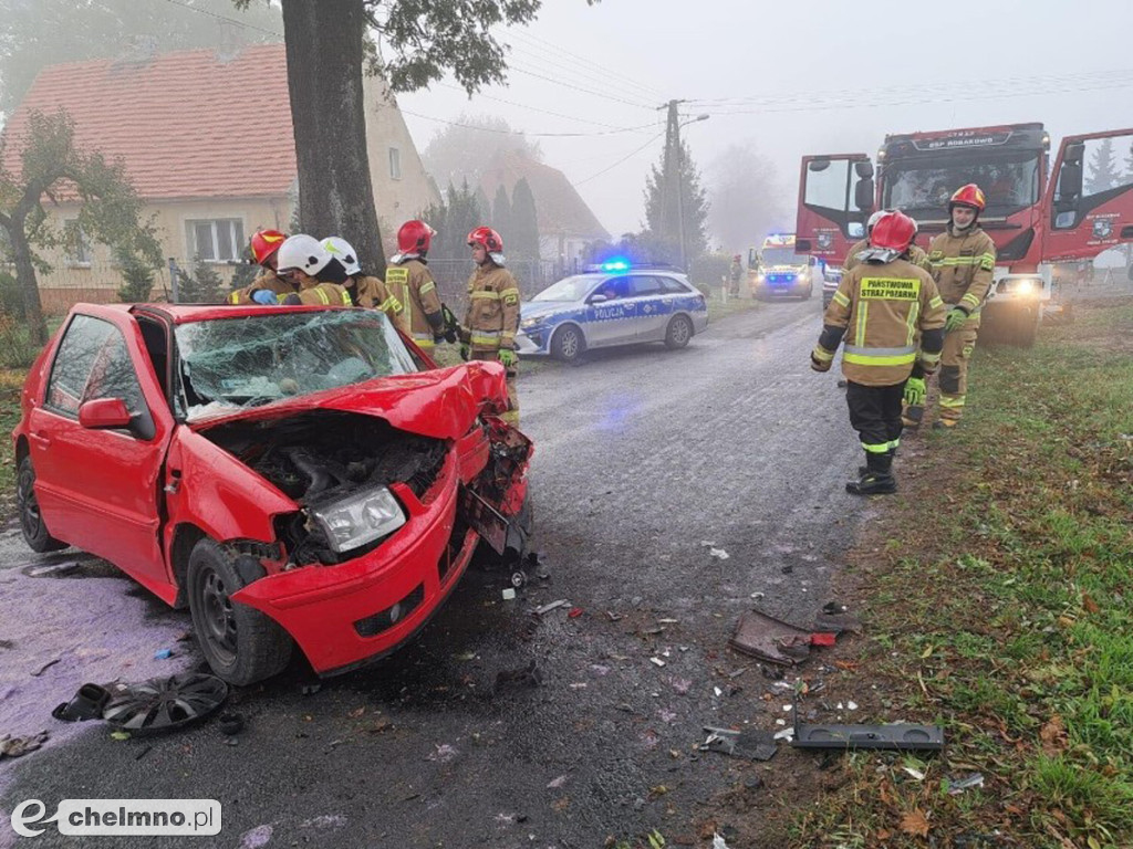 Dwie kobiety poszkodowane w wypadku w okolicach Chełmna
