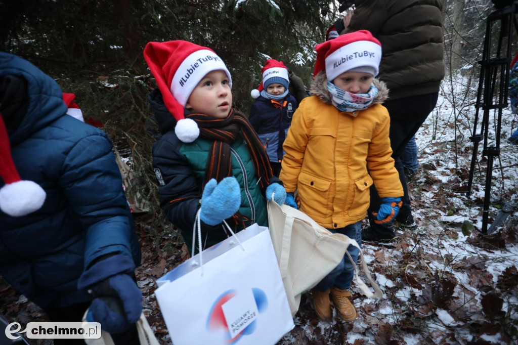 Wybraliśmy świąteczne drzewko