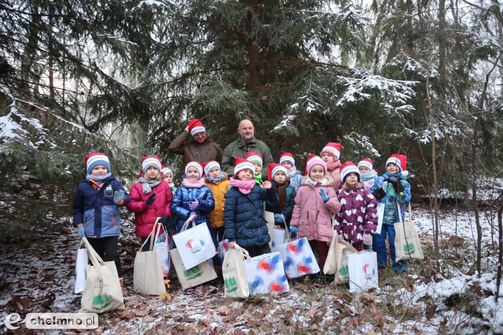 Wybraliśmy świąteczne drzewko