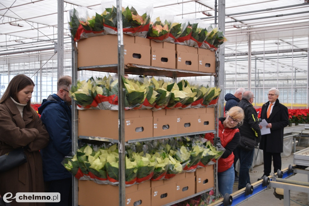 Okoliczne przedsiębiorstwa rozwijają się dzięki przyznanym środkom unijnym
