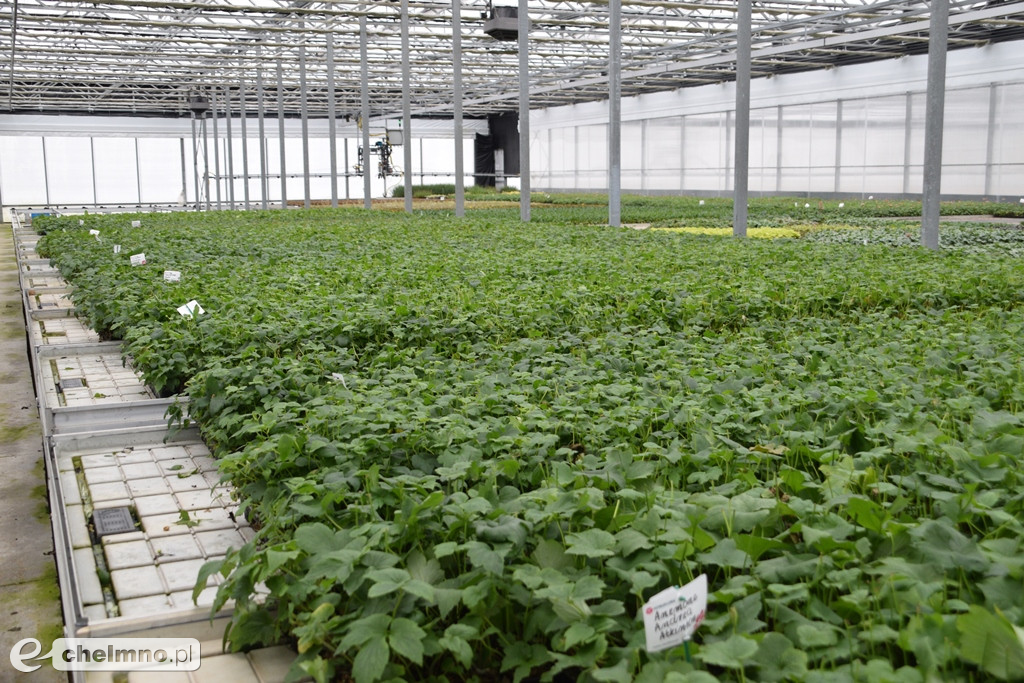 Okoliczne przedsiębiorstwa rozwijają się dzięki przyznanym środkom unijnym