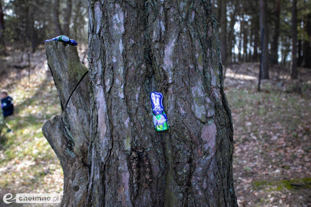 Lekcja biologii z marszałkiem