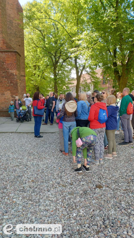 Spacerki po Chełmnie cieszą się sporym powodzeniem