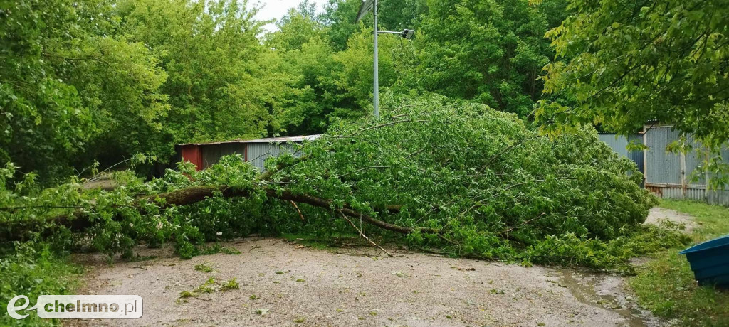 Włodarze monitorują straty po ulewie w mieście