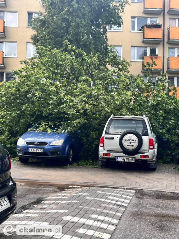 Włodarze monitorują straty po ulewie w mieście