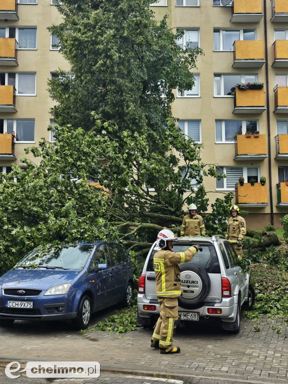 Włodarze monitorują straty po ulewie w mieście