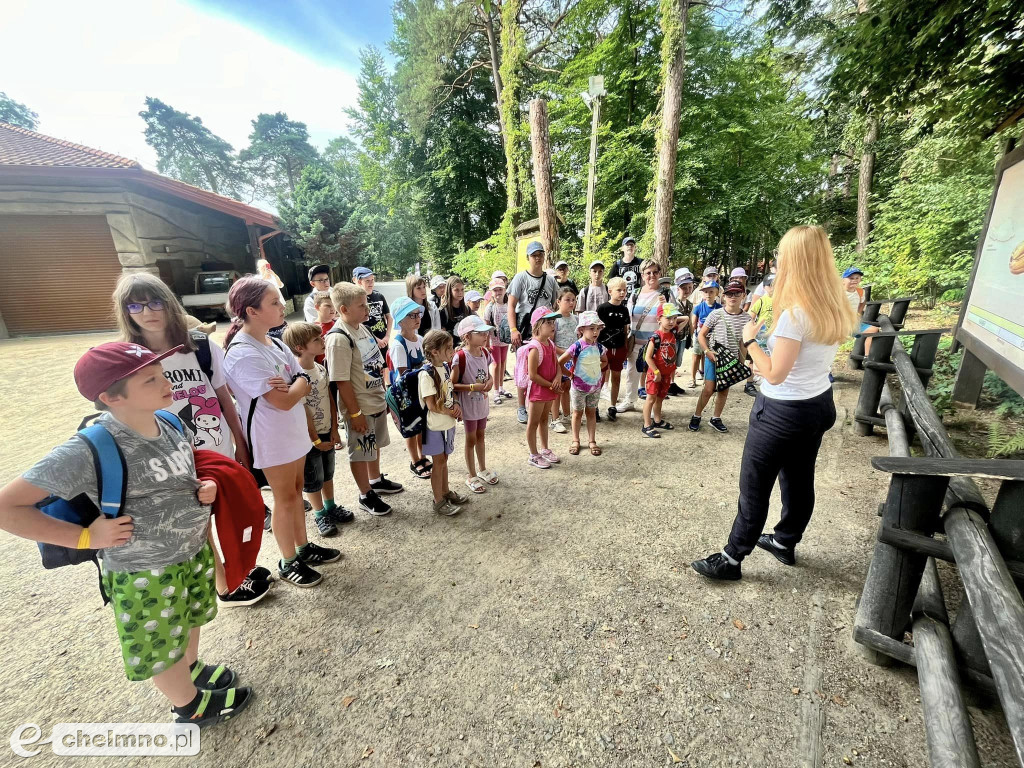 Szlakiem prehistorycznych stworzeń