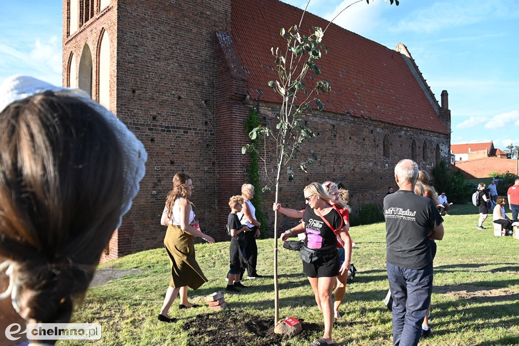 Posadzono 9 drzew na zakończenie 9 edycji Perspektywy - 9 Hills Festival