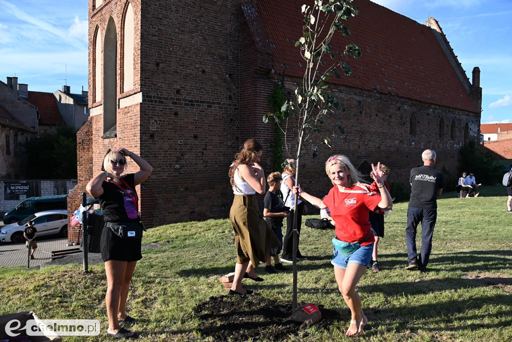 Posadzono 9 drzew na zakończenie 9 edycji Perspektywy - 9 Hills Festival