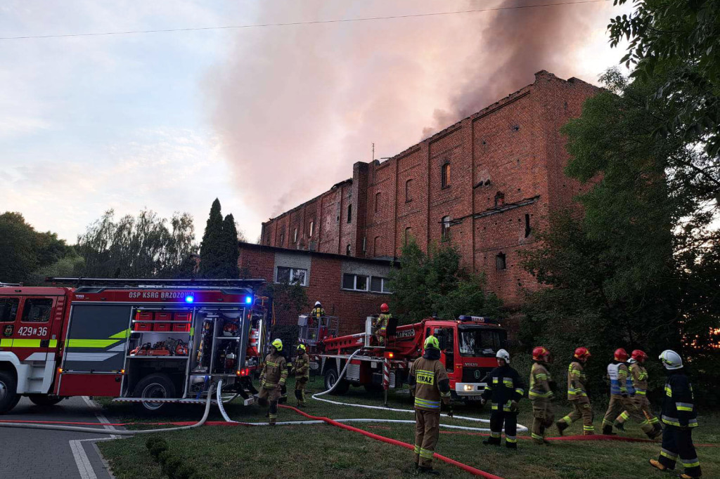 Dramatyczna noc w okolicach Płutowa. Ogień strawił historyczny młyn