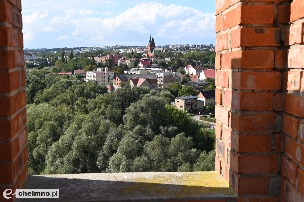 Wizyta studyjna w Dolinie Dolnej Wisły: wyjątkowa podróż kulinarno-turystyczna