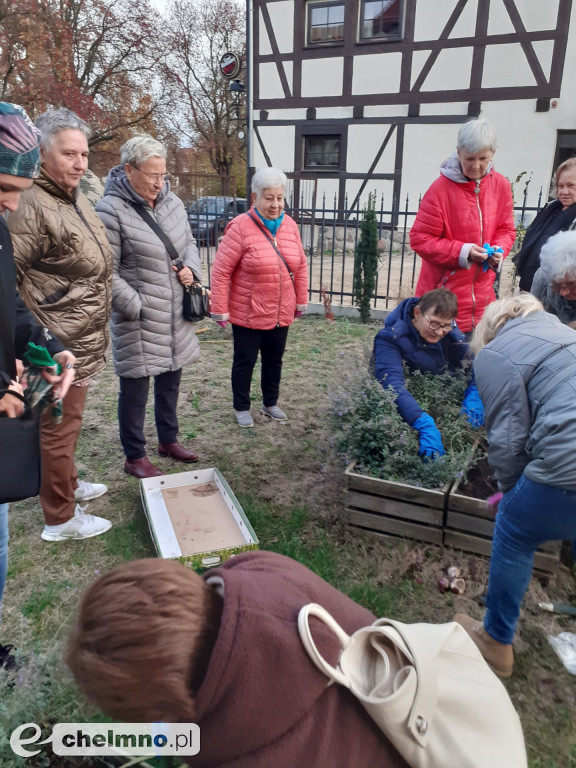 Przystanek ekologiczny dla Seniora