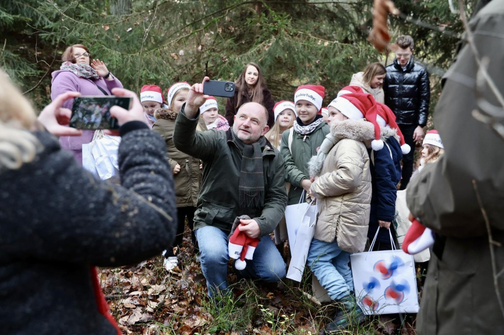 Wybraliśmy świąteczne drzewko