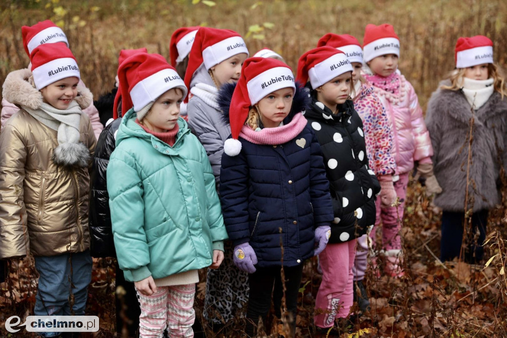 Wybraliśmy świąteczne drzewko