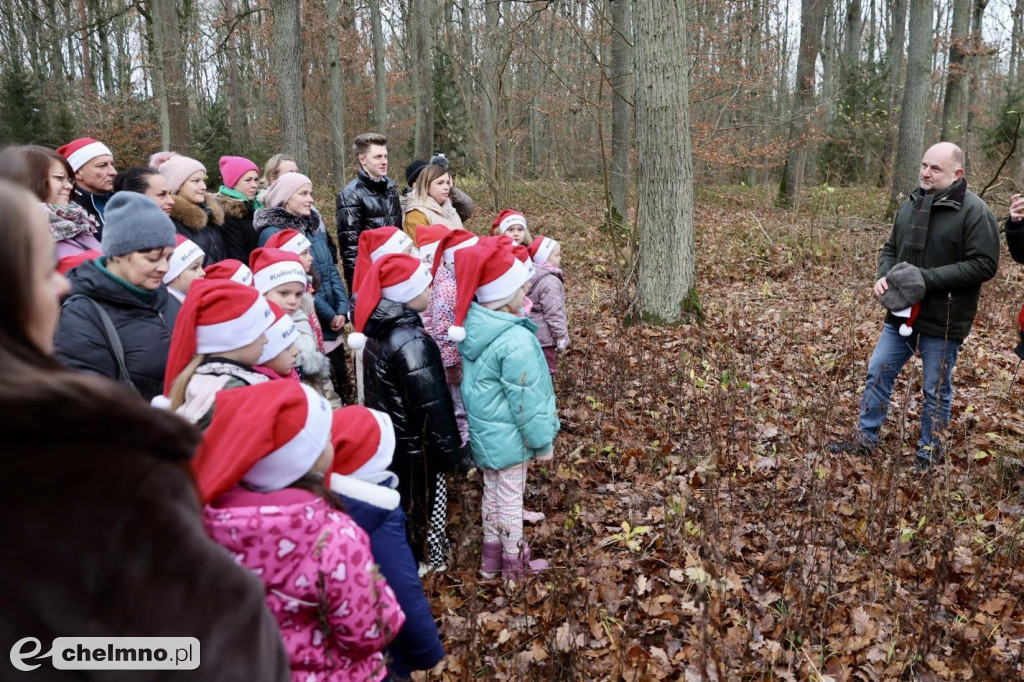 Wybraliśmy świąteczne drzewko