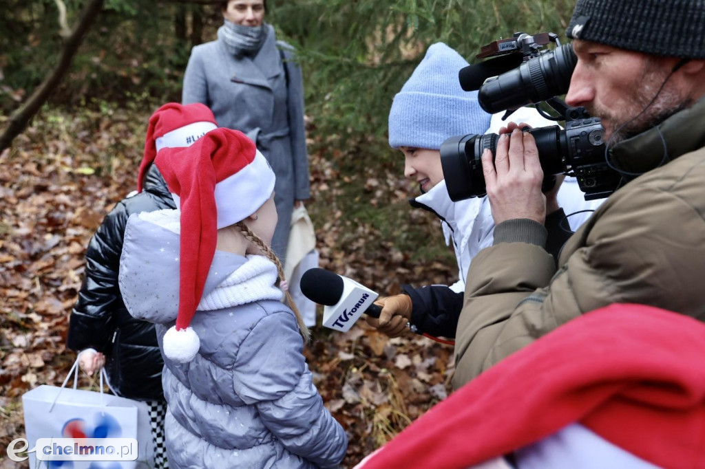 Wybraliśmy świąteczne drzewko