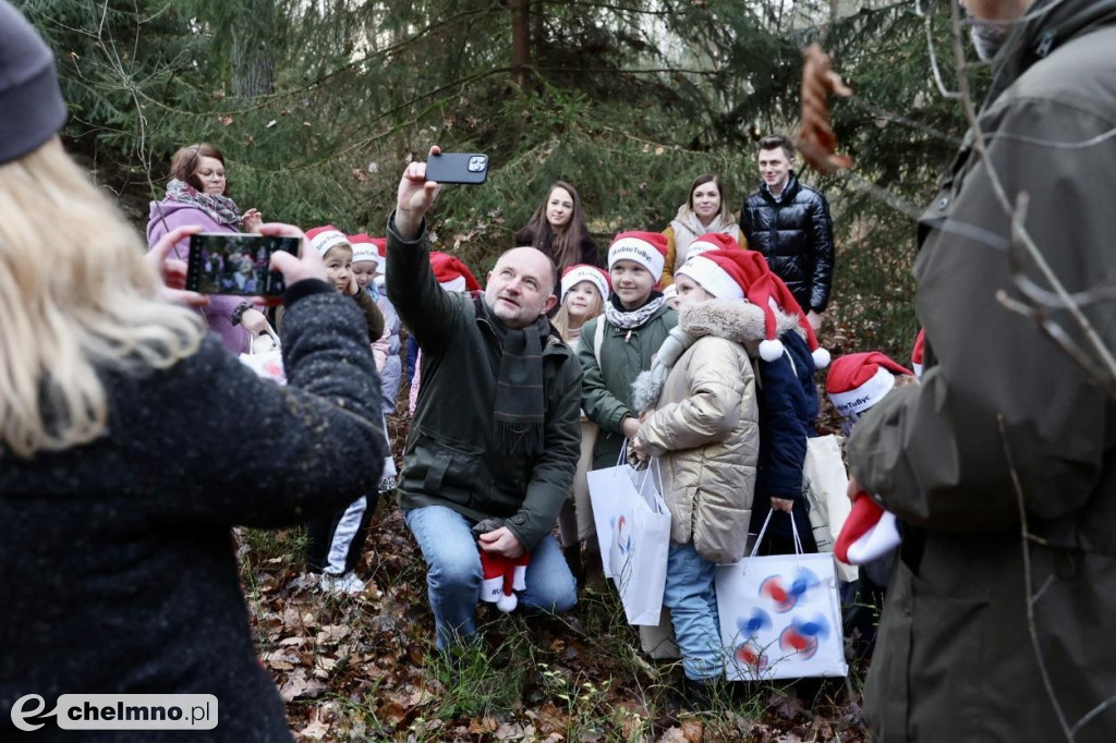 Wybraliśmy świąteczne drzewko