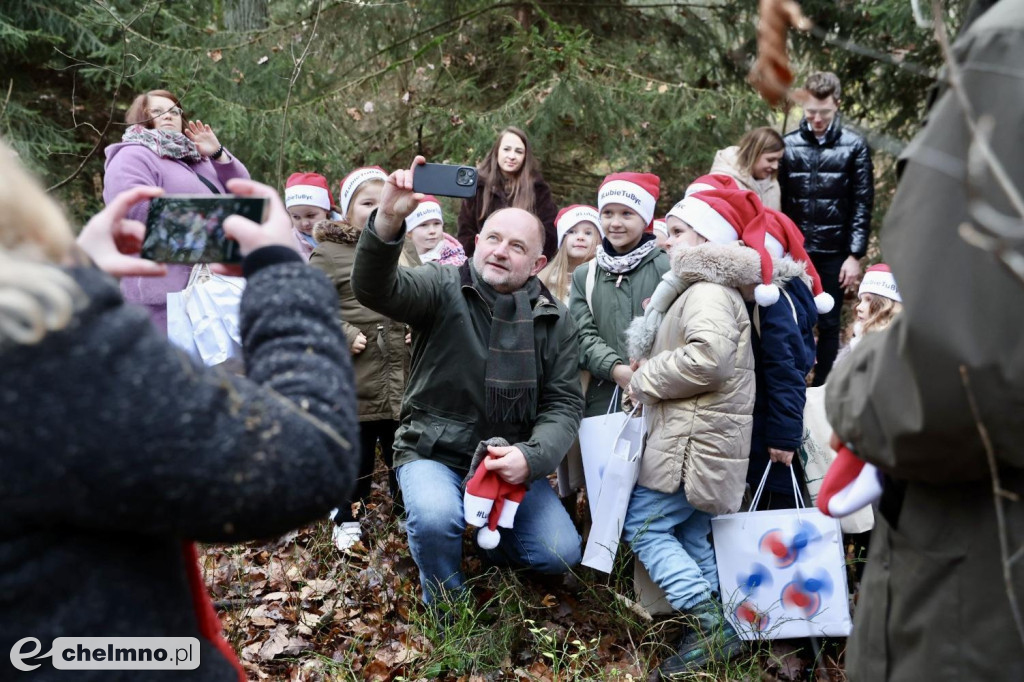 Wybraliśmy świąteczne drzewko