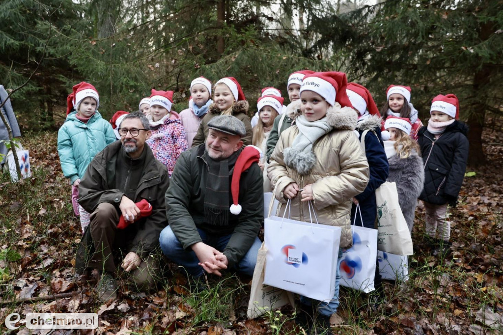 Wybraliśmy świąteczne drzewko