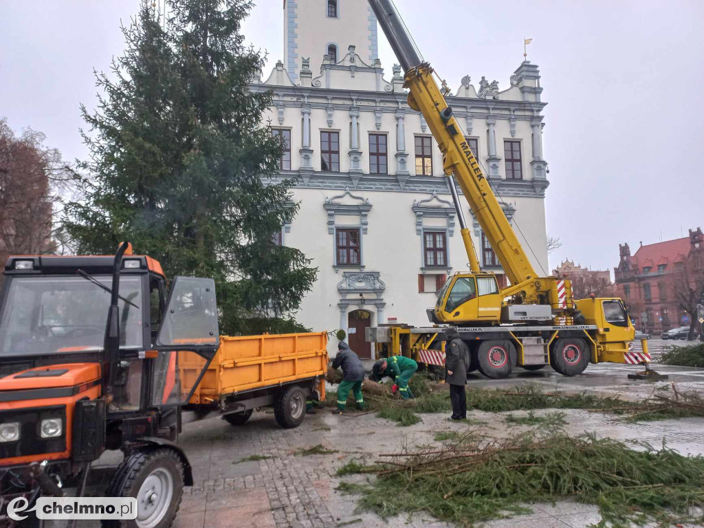 Już jest! Chełmińska wielka choinka zamontowana na Rynku