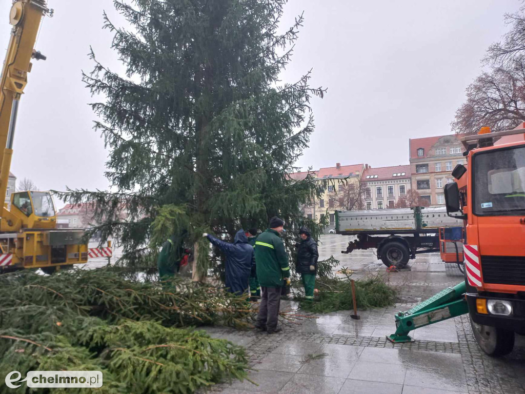 Już jest! Chełmińska wielka choinka zamontowana na Rynku