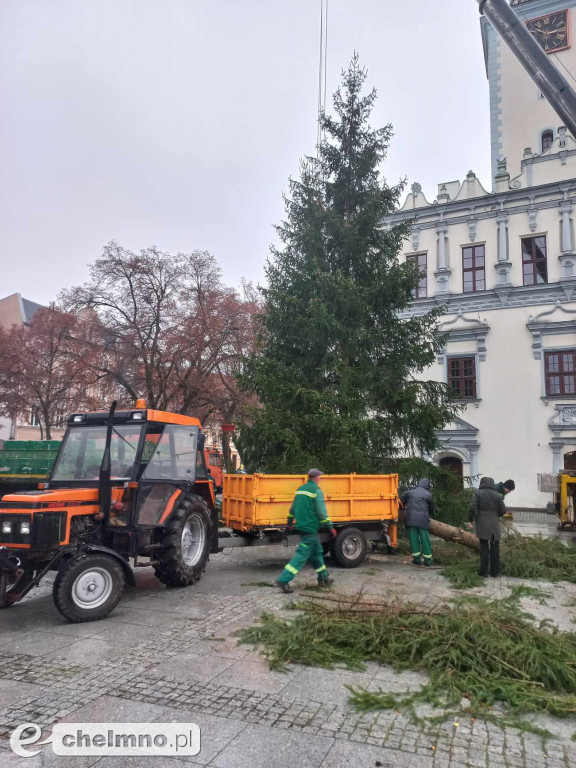 Już jest! Chełmińska wielka choinka zamontowana na Rynku