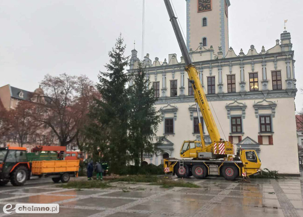 Już jest! Chełmińska wielka choinka zamontowana na Rynku