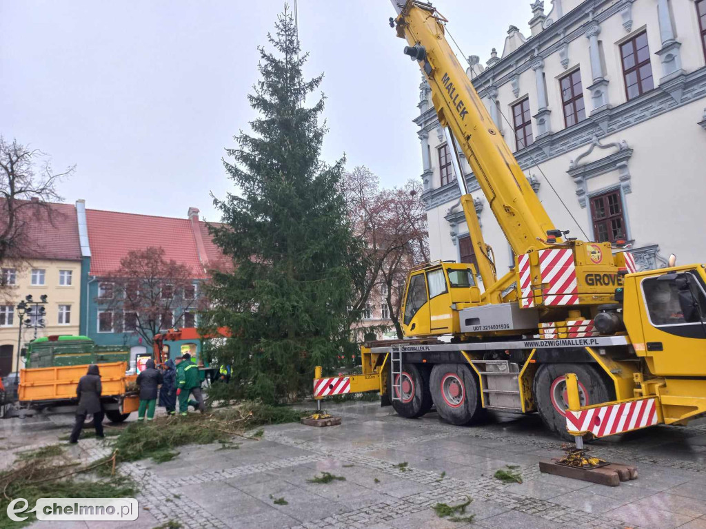 Już jest! Chełmińska wielka choinka zamontowana na Rynku