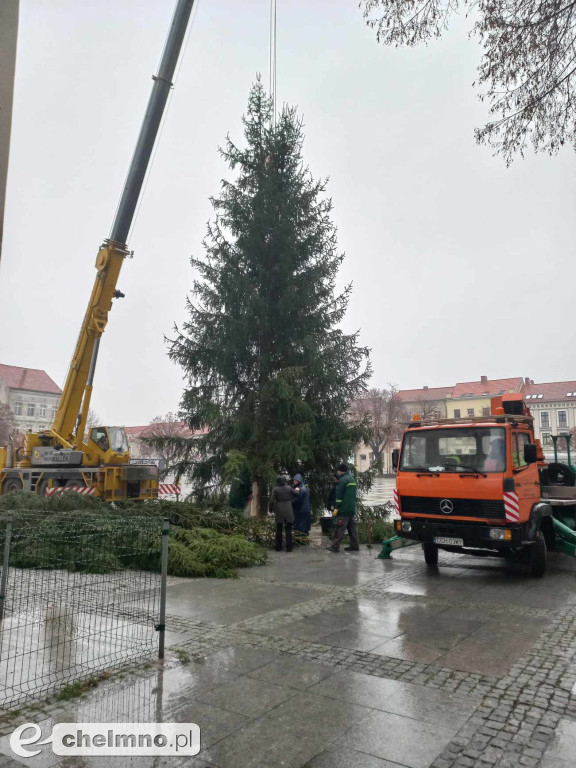 Już jest! Chełmińska wielka choinka zamontowana na Rynku