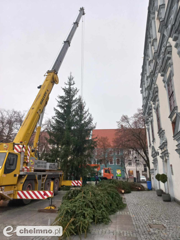 Już jest! Chełmińska wielka choinka zamontowana na Rynku