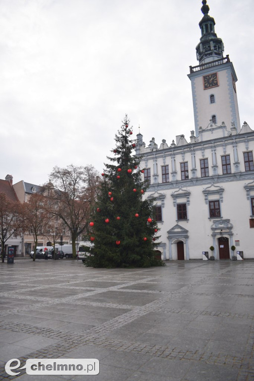 Już jest! Chełmińska wielka choinka zamontowana na Rynku