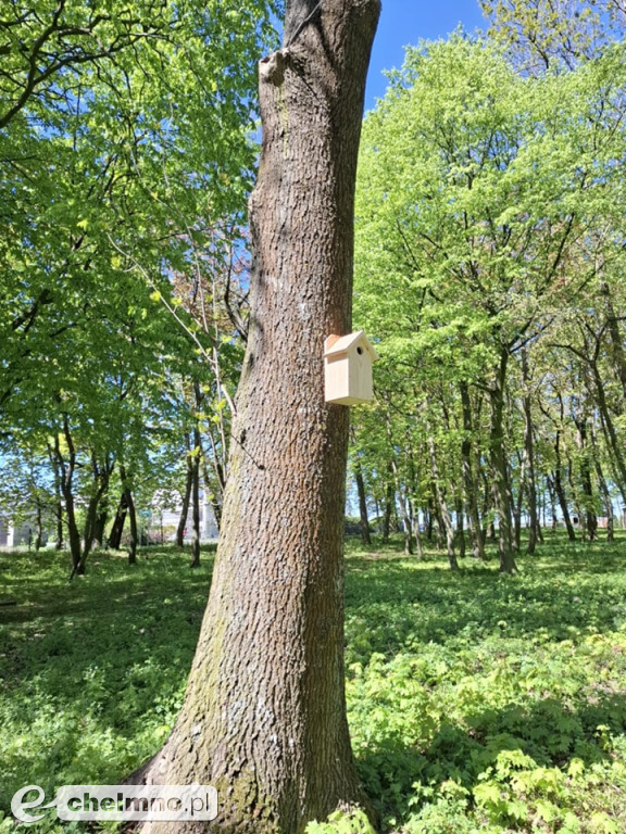 Nowe budki lęgowe dla ptaków pojawiły się w Kijewie Królewskim
