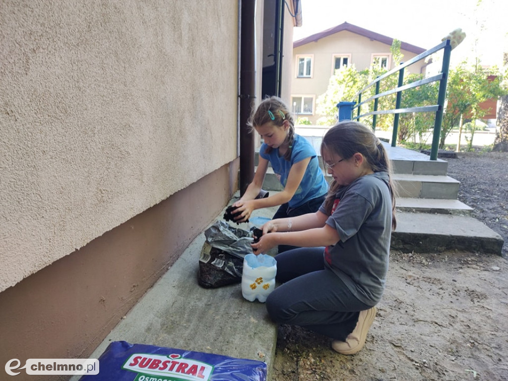 Recykling to świetna zabawa!