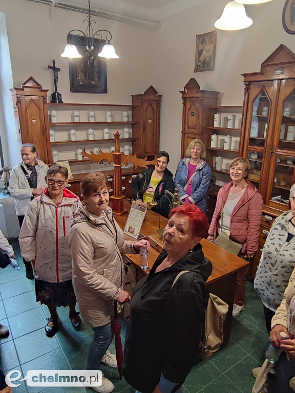 Wspieramy integrację, rozwój i włączamy seniorów do życia