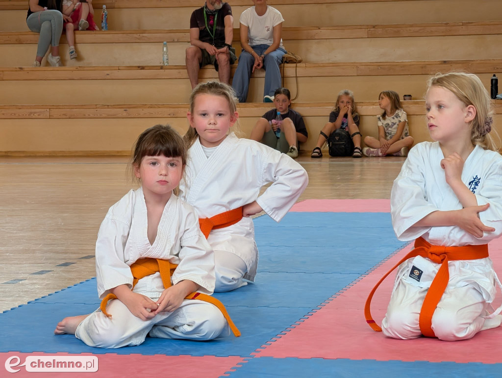 Turniej karate z okazji Dnia Dziecka