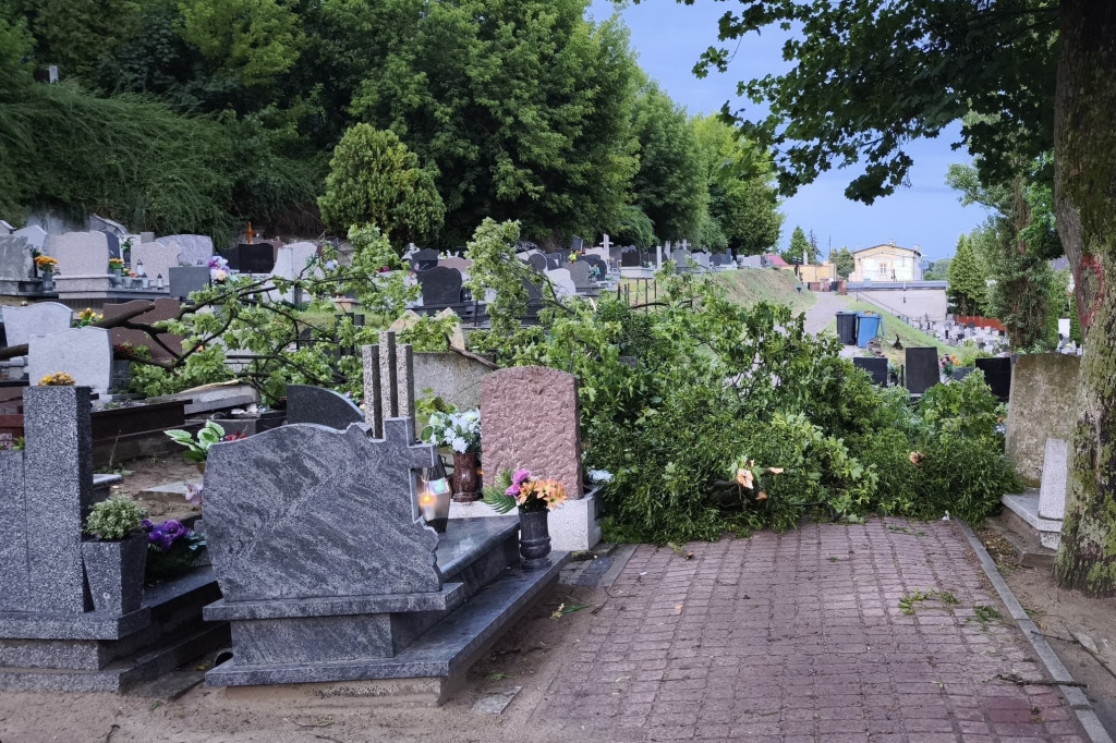 Liczne zniszczenia po wczorajszej nawałnicy w Chełmnie