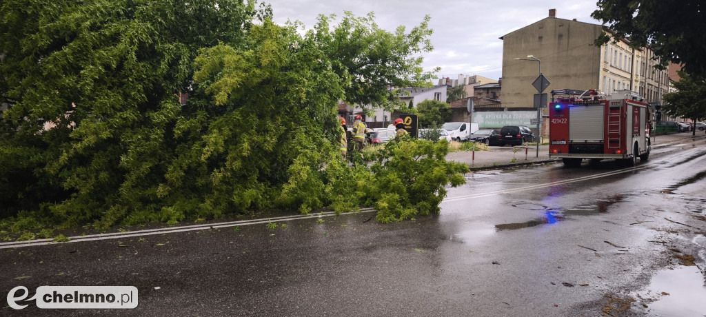 Liczne zniszczenia po wczorajszej nawałnicy w Chełmnie