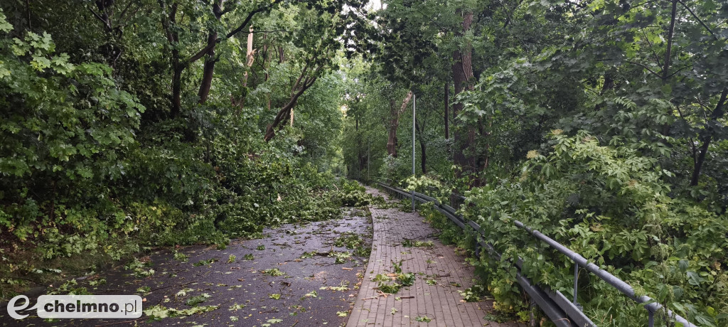 Liczne zniszczenia po wczorajszej nawałnicy w Chełmnie