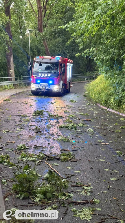 Silny wiatr narobił szkód w naszych okolicach